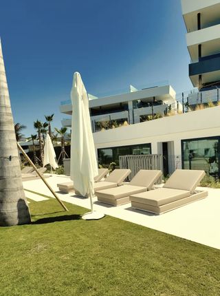 Garden & sunbeds